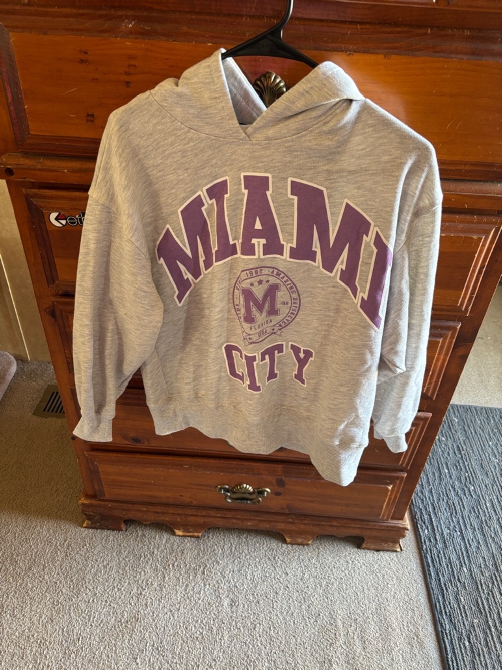 Zara Gray Hoodie with Purple Miami City Print